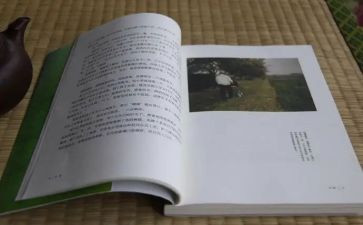 目送读后感最新6篇