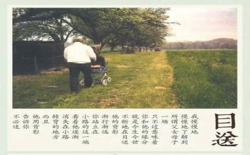 读目送的读后感5篇