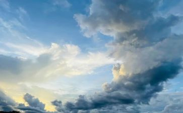 耐心等待作文7篇