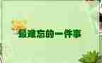 难忘的一件事作文900字6篇