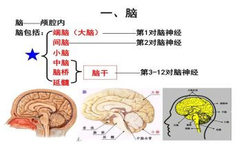 电脑上工作计划推荐5篇