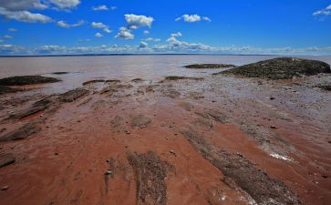 水泥散装运输合同推荐8篇