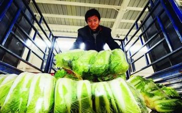 采购农产品合同8篇