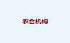 农合联财务工作报告优质5篇