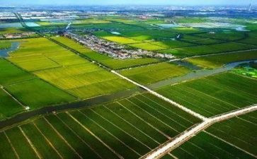 农业办工作述职报告5篇