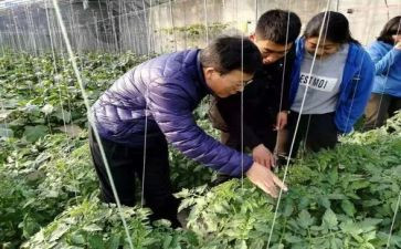 农艺师工作总结范文6篇