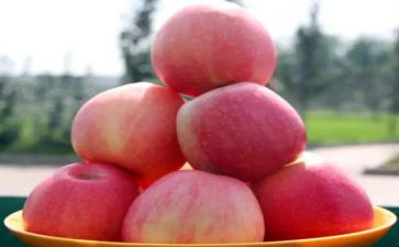 小班音乐大苹果教案精选5篇