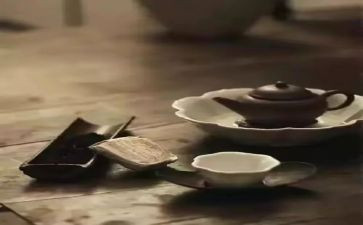 品味人生演讲稿7篇