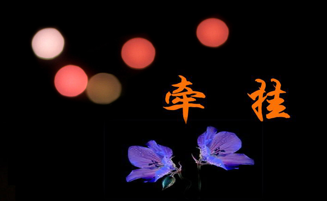 我牵挂的人作文800字7篇