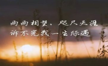 我牵挂的人作文800字精选7篇