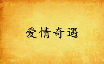 奇遇记作文优秀5篇