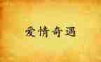 奇遇记作文优秀5篇