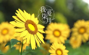 小小班七月工作计划5篇