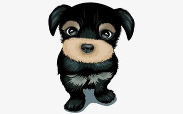 犬只管理会议讲话稿6篇