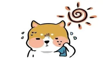 小学生热爱读书的演讲稿7篇