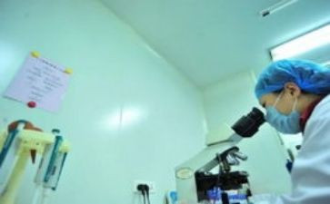 财务个人工作总结模板8篇