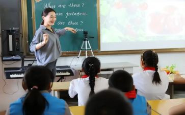 班主任教师工作总结优质5篇