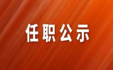 个人任职前工作总结5篇