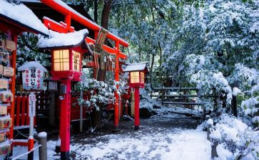 日本崛起的观后感8篇