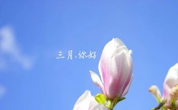三月份工作总结优秀5篇