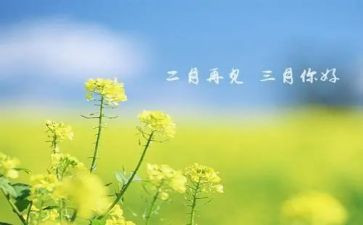 三月份工作总结优质7篇