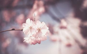 三月学雷锋的演讲稿7篇