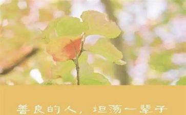 慈善公益人物事迹6篇