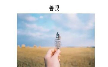 工作计划改善计划8篇