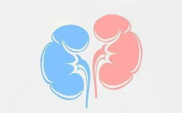 消化肾内科自我鉴定5篇