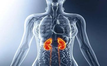 肾内科护士工作计划精选6篇