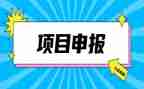 个人职称申报工作总结5篇