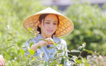系生活演讲稿最新5篇