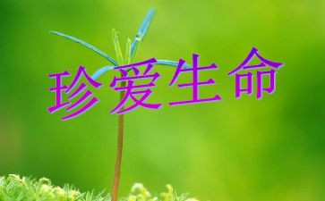珍爱生命,作文模板6篇