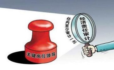 审计工作报告向谁报告精选5篇