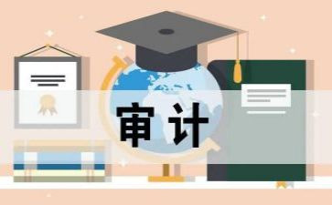 审计员的工作计划推荐5篇
