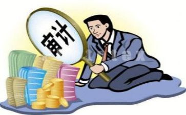 审计作工作报告7篇