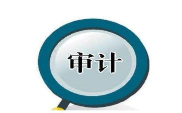 学校审计工作总结6篇