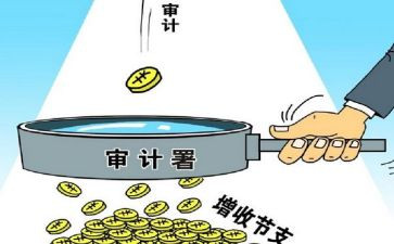 审计的工作计划最新5篇