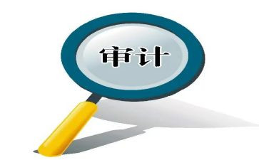审计局年度工作报告8篇