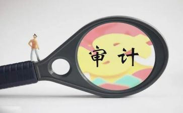 审计进点会领导讲话稿5篇