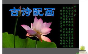 诗情画意的作文5篇