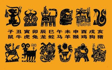 大班社会十二生肖教案5篇