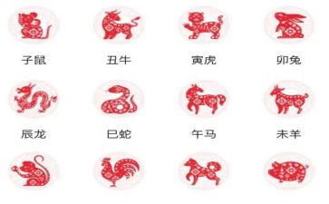 十二生肖中班教案8篇