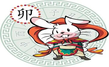 十二生肖教案大班语言教案最新7篇