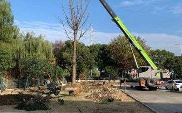 施工管理总结报告6篇