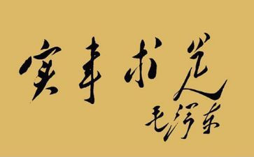 对我为群众办实事心得体会8篇