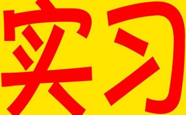 实习及工作计划5篇