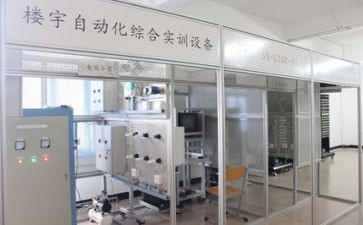 实训体会及心得体会精选8篇