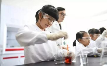 实验室的工作总结推荐7篇