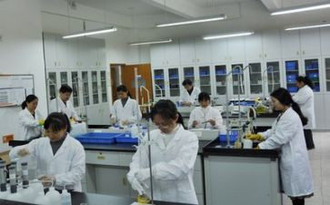 做实验报告的心得6篇